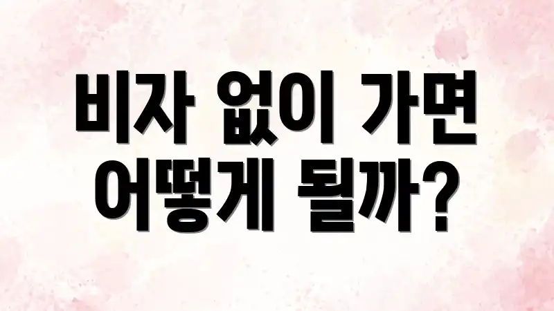 비자 없이 가면 어떻게 될까?