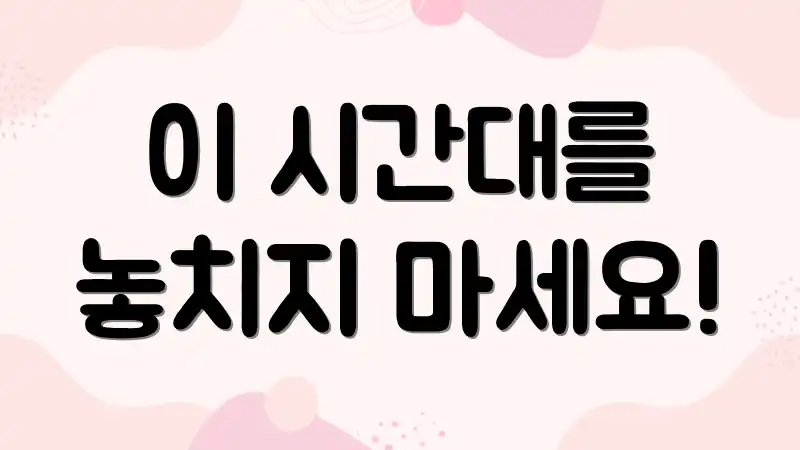 이 시간대를 놓치지 마세요!