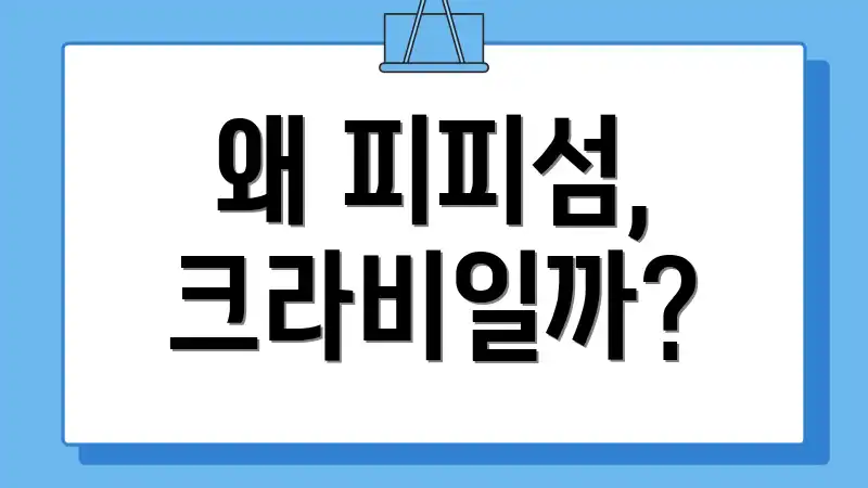 왜 피피섬, 크라비일까?