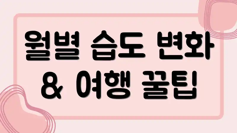 월별 습도 변화 & 여행 꿀팁