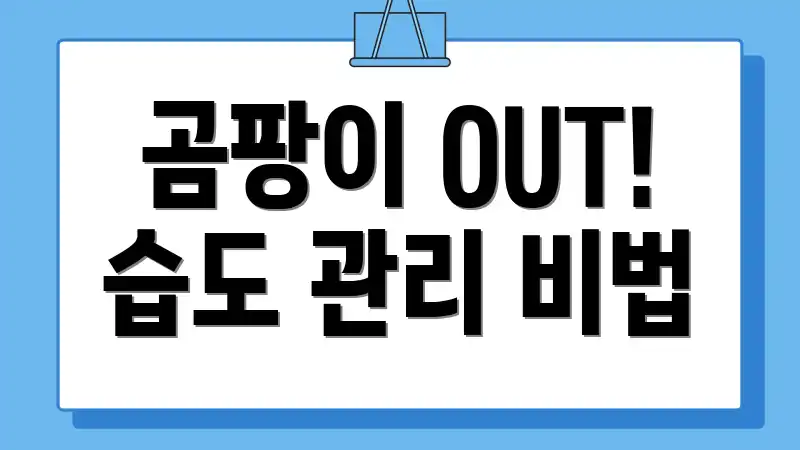 곰팡이 OUT! 습도 관리 비법