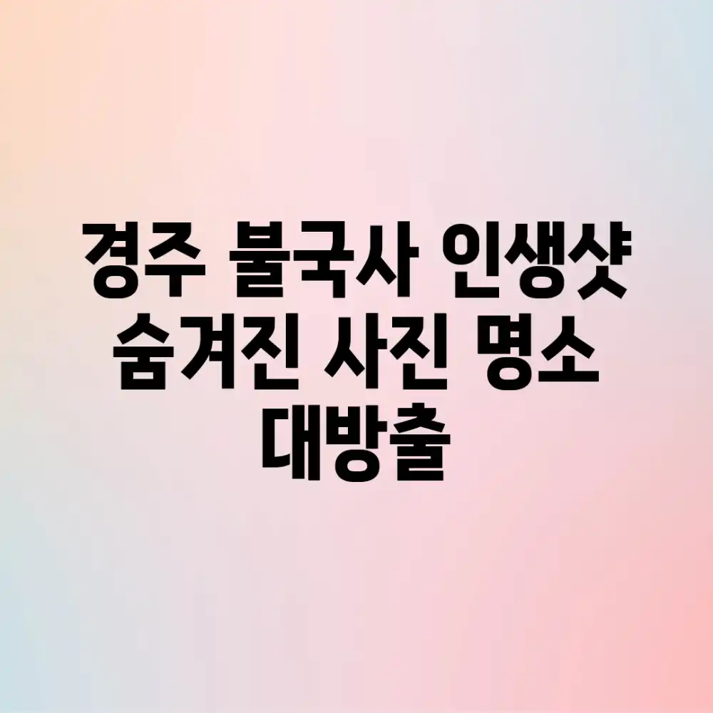 경주 불국사 인생샷! 숨겨진 사진 명소 대방출