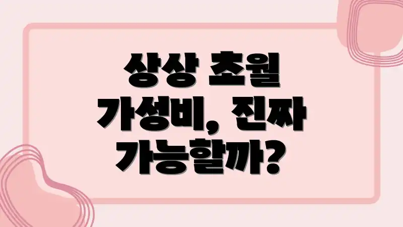 상상 초월 가성비, 진짜 가능할까?