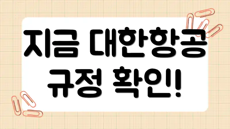 지금 대한항공 규정 확인!