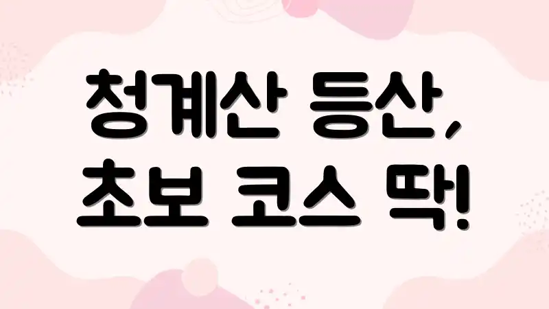 청계산 등산, 초보 코스 딱!