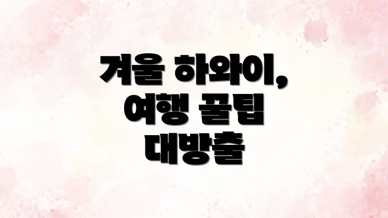 겨울 하와이, 여행 꿀팁 대방출