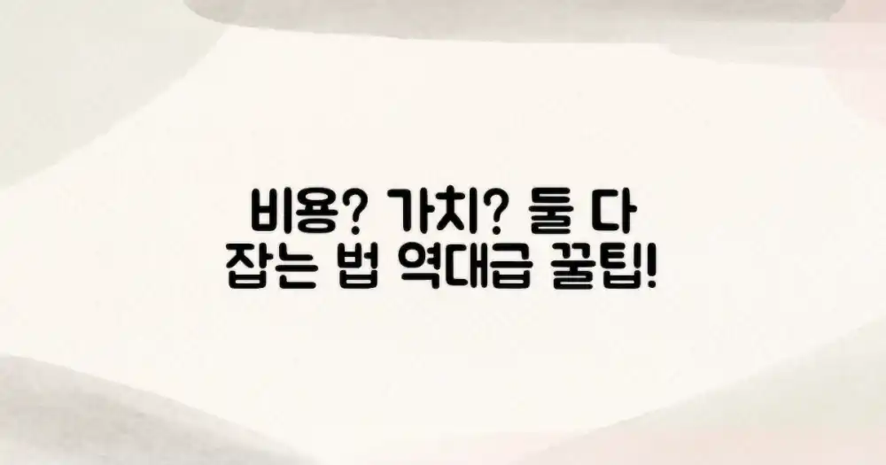 비용 vs 가치, 꿀팁 비교