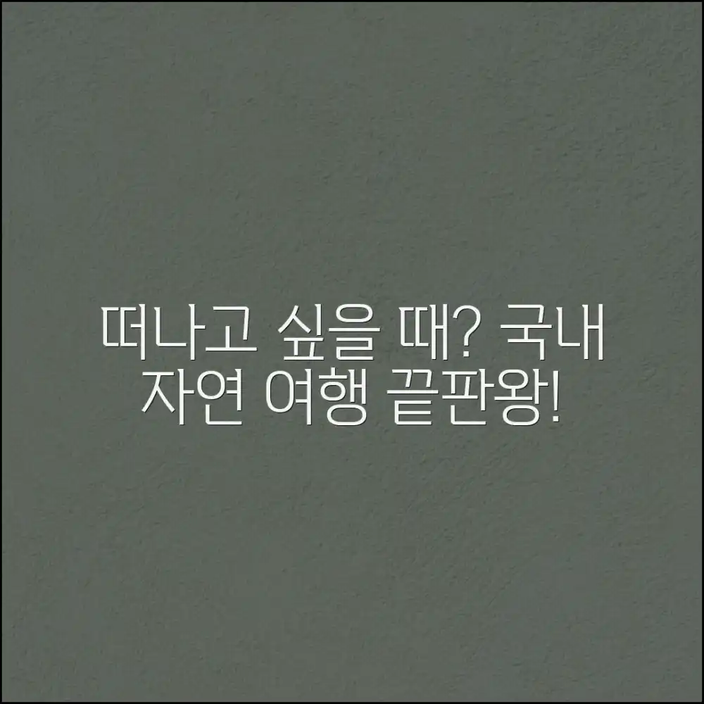 떠나고 싶은 국내 자연 여행지 추천 완벽 가이드