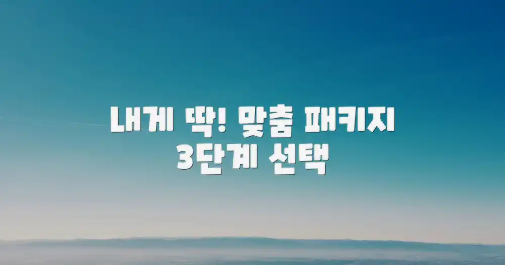 3단계 맞춤 패키지 선택법