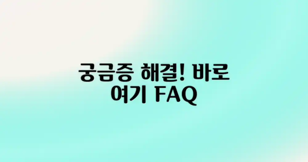 자주 묻는 질문