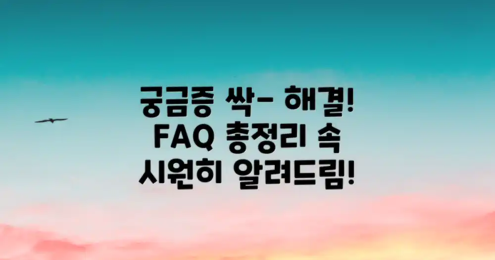 자주 묻는 질문