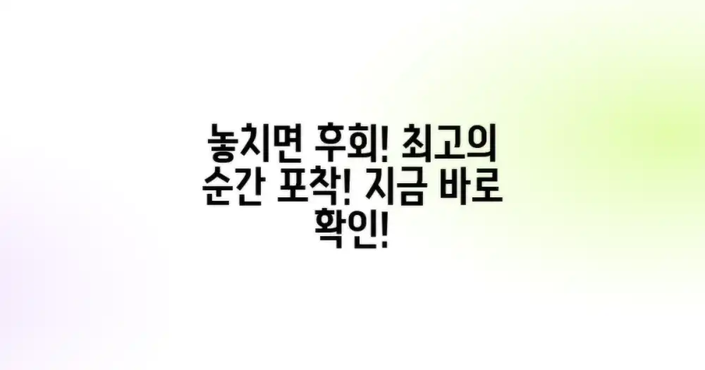 최고의 순간, 놓치지 마세요!