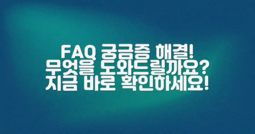 자주 묻는 질문