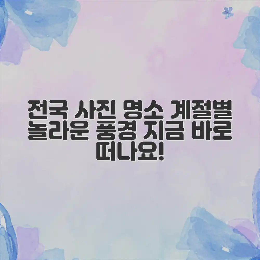 전국 사진 명소, 계절별 놀라운 풍경 4가지!