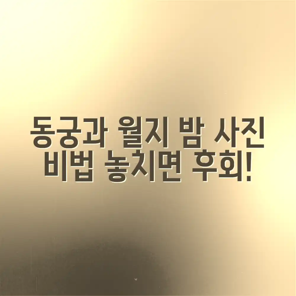 동궁과 월지 밤 풍경, 최고의 사진 어떻게 찍을까요?