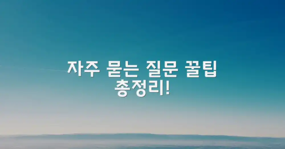 자주 묻는 질문