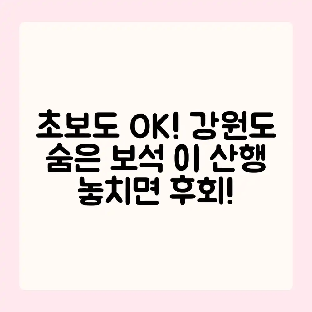 초보도 발견! 강원도 숨은 보석 산행