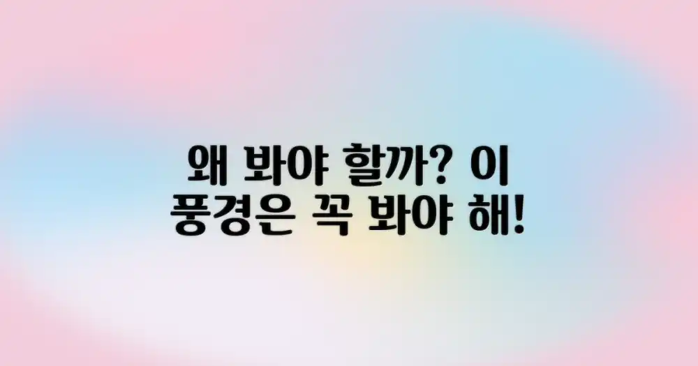 이 풍경, 왜 꼭 봐야 할까?