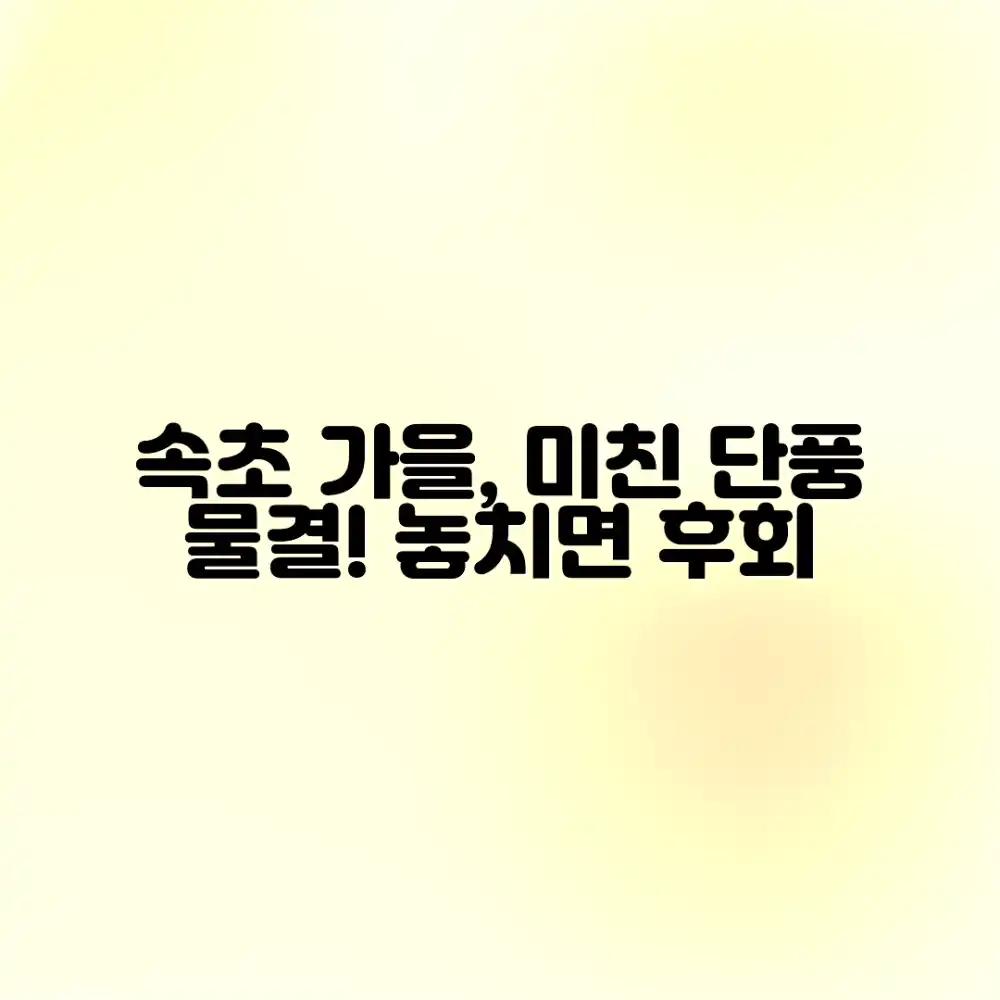 속초 가을 여행: 믿을 수 없는 단풍의 황홀경!