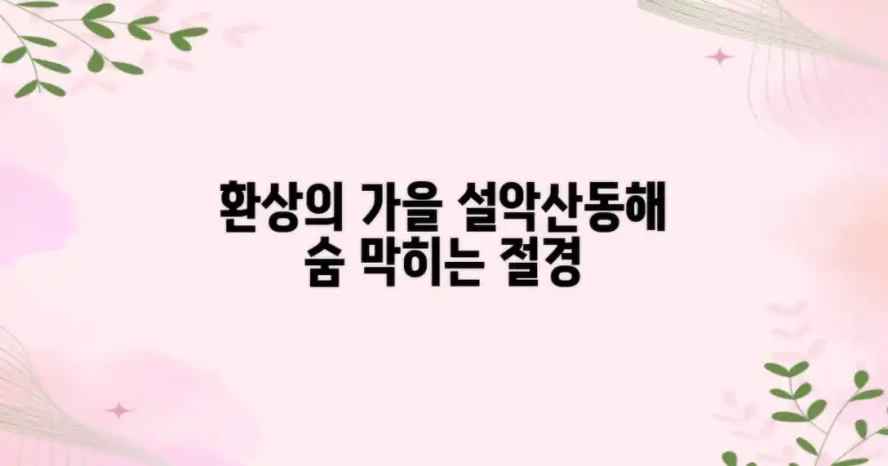 환상의 가을, 설악산과 동해를 품은 도시