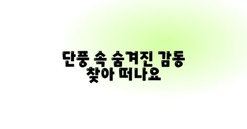 단풍과 함께, 어떤 감동이?
