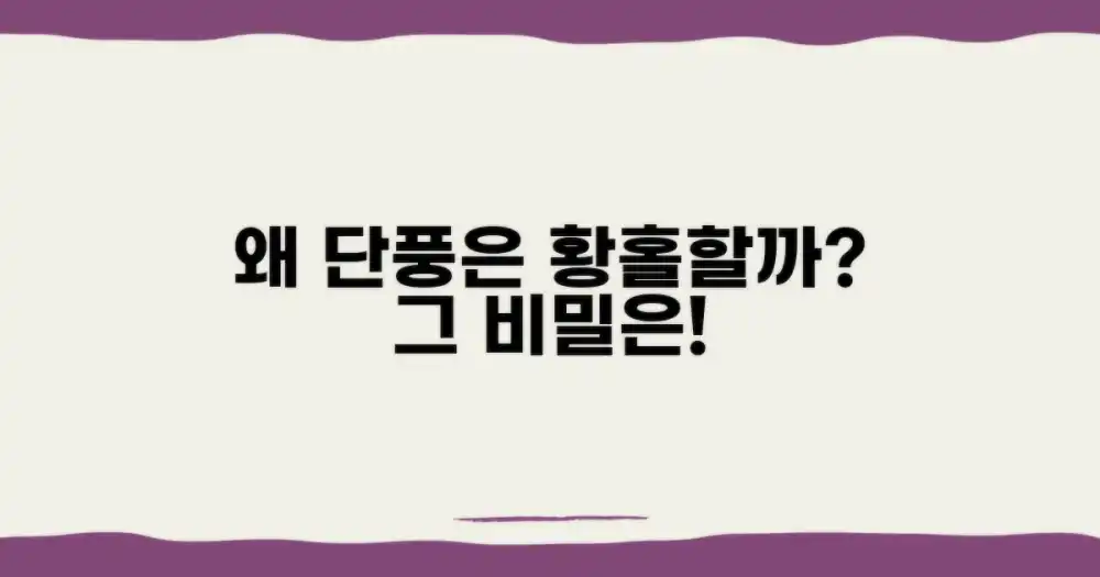 단풍, 왜 황홀할까?